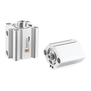 Пневмоцилиндр компактный SQN100x10-S 1